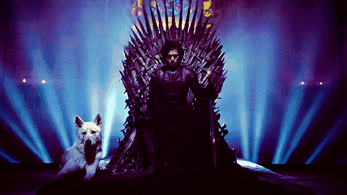 1.gif